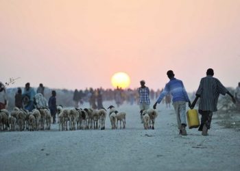 UN appeals to all Somalis to ‘come together’ in fight against COVID-19 pandemic 