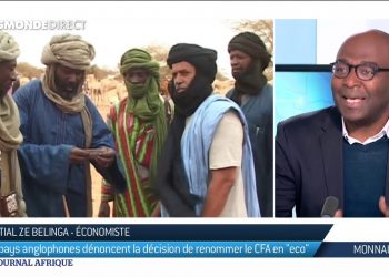 Éco : les pays anglophones dénoncent la décision de renommer le Franc CFA