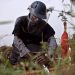 From landmines to pandemics, on Mine Awareness Day UN chief says milestones reached by ‘working together’