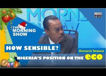 How sensible: Nigeria's position on the ECO – Bismarck Rewane