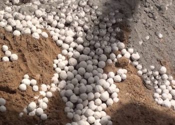 Cool Roof Light Weight Insulation cum Waterproofing Technology