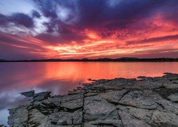 Fall in COVID-linked carbon emissions won’t halt climate change – UN weather agency chief