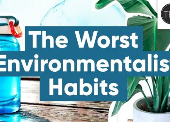 7 “Eco-Friendly” Habits That Are Mostly Just Money-Wasters | The Financial Diet
