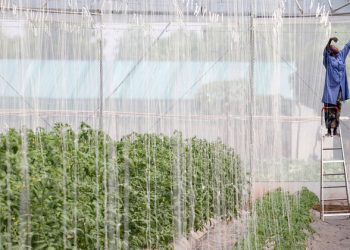 FROM THE FIELD: Women act as ‘agents of change’ in climate emergency