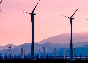 5 Ways Momentum for Climate Action Has Grown Since the Paris Agreement Was Signed