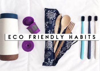 How To Be More Eco-Friendly [Easy Habits + Tips] | Reese Regan
