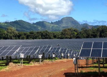 Moving towards 100% renewable power in Hawaii (with a little help from sheep) | solar power, USA, Kauai, Hawaii