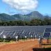 Moving towards 100% renewable power in Hawaii (with a little help from sheep) | solar power, USA, Kauai, Hawaii