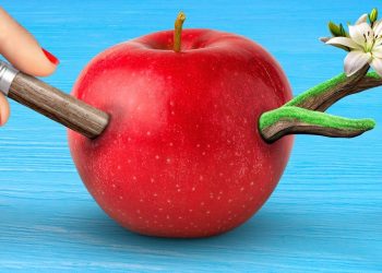 15 Eco-Friendly Life Hacks! Ways To Reduce Waste And Save The Planet