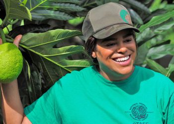 Cultivating a taste for traditional crops in Hawaii |