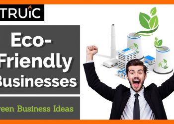 6 Eco-Friendly Business Ideas  (Green Businesses for 2020)
