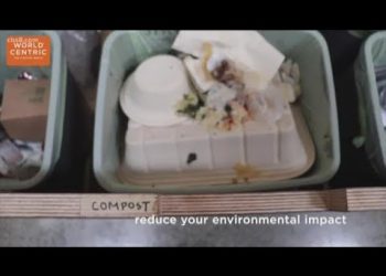 How to cut down on waste at home