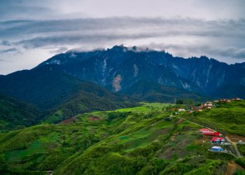 FROM THE FIELD: Nature ‘strongest ally’ to building sustainable planet |