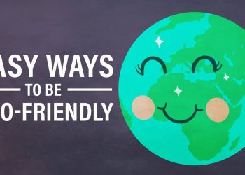 Easy Ways to Be Eco-Friendly