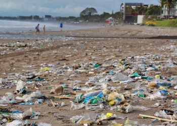 How to Reduce Plastic and Other Ocean Pollution