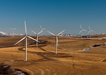 Setting the Record Straight About Renewable Energy