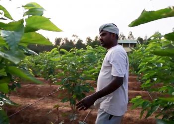 Eco India Shorts: Torn between the need to earn money in the city and his desire to be a farmer