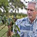 First Person: Innovation brewing at Hawaii coffee farm |