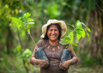 Growing Trees the Right Way with TerraMatch