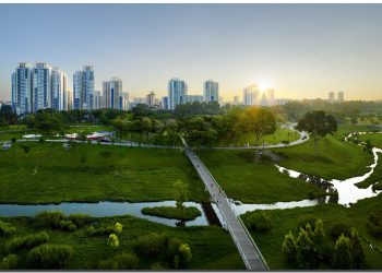Collaborating to Build Stronger Cities with Nature