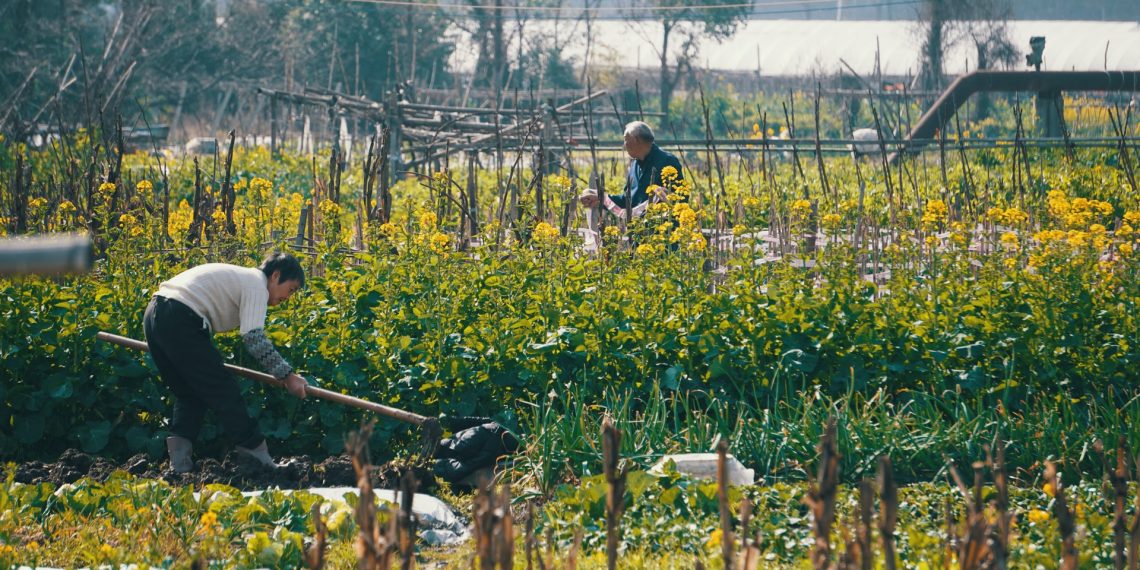 5 Benefits to Local Action on Climate Resilience