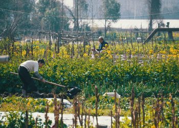 5 Benefits to Local Action on Climate Resilience