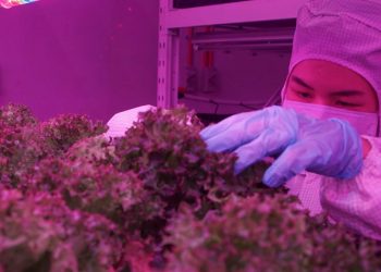 Business sector still far from reaching sustainability goals, UN report shows, 20 years on from landmark summit |