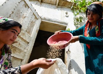 UN report sends ‘sobering message’ of deeply entrenched hunger globally |