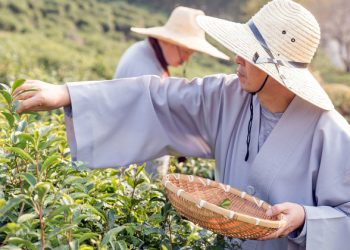 ‘Country-driven’ approach needed to limit COVID-19 damage to food security  |