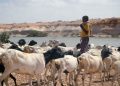 Climate emergency ‘a danger to peace’, UN Security Council hears |