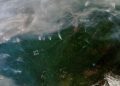 Dramatic Arctic fires and sea ice melt, show need for urgent climate action |