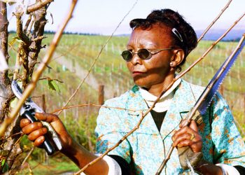 Trade pact could boost Africa’s income by as much as $450 billion: World Bank |