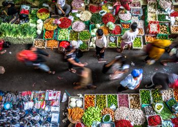 Low-Carbon Recovery in Indonesia | World Resources Institute