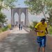 Reimagining Brooklyn Bridge Forest Proposal