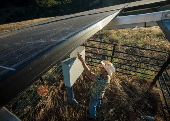 Which US States Are Decoupling GDP and Emissions?