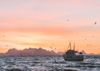 4 Investments to Secure Ocean Health and Wealth