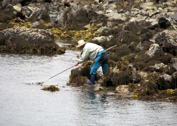 Ocean Economy and National Accounts