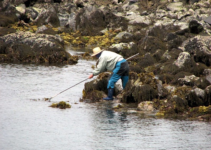 Ocean Economy and National Accounts