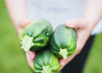 Top Three Jobs This Summer