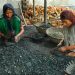 Revealed: A third of world’s children poisoned by lead, UNICEF analysis finds |