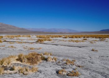 Death Valley temperature, likely highest since 1931: UN weather agency |
