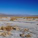 Death Valley temperature, likely highest since 1931: UN weather agency |