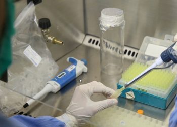 Togo overcomes ‘sleeping sickness’ as a public health problem |