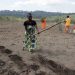 ‘I don’t understand why Africa is still hungry’: UN envoy’s plan to transform food systems for all |