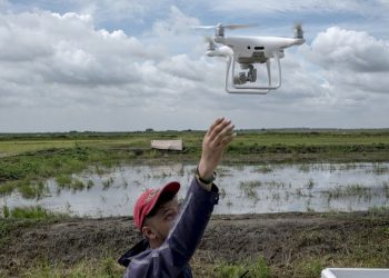 Leveraging innovation, partnership to shore up food security in Asia and the Pacific |