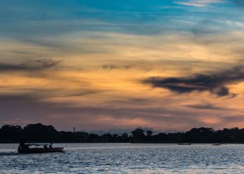 Science, solidarity and solutions needed against climate change: Guterres  |