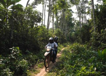 WHO warns against potential Ebola spread in DR Congo and beyond |