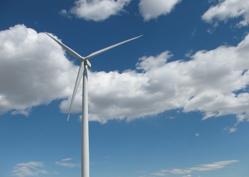 Local Climate Action in US Proves Resilient to COVID-19