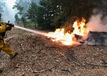 Climate change: Record northern heat, fuels concerns over US wildfire destruction |