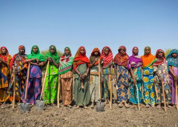 Reversing land degradation can ‘pre-empt and manage’ conflicts |